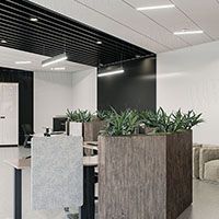 Нarmonia kontrastu i stylu: rozwiązania sufitowe KRAFT w czarno-białych biurach