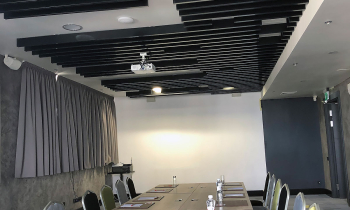 Ibis Kyiv City Center Hotel - stylish ceiling as an element of image (+9 photo)