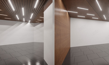 Two options for the design of a rail under the tree-like ceiling - which one to choose?